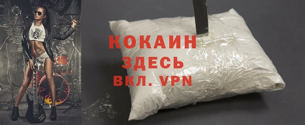 стаф Баксан