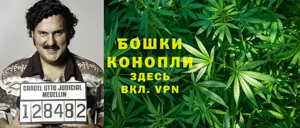 шишки Балахна