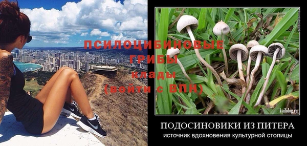 стаф Баксан