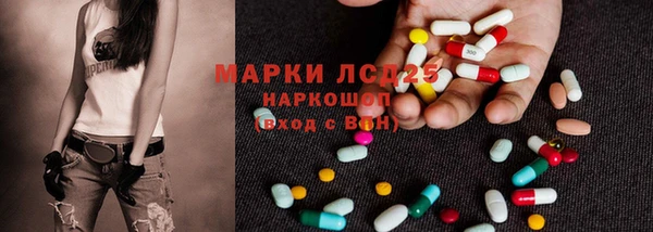 стаф Баксан