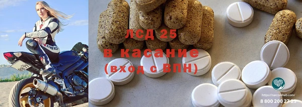 шишки Балахна