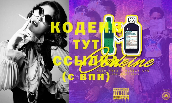 шишки Балахна